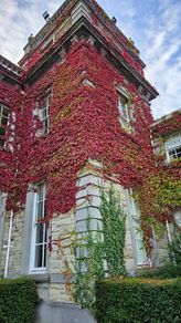 Virginia Creeper Two Euros