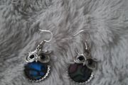 fab quirky owl earrings