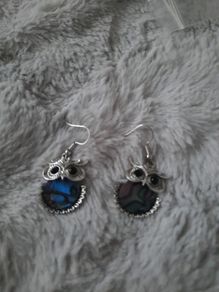 fab quirky owl earrings