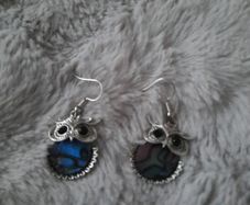 fab quirky owl earrings