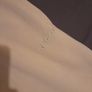 tracksuit bottoms Image 3