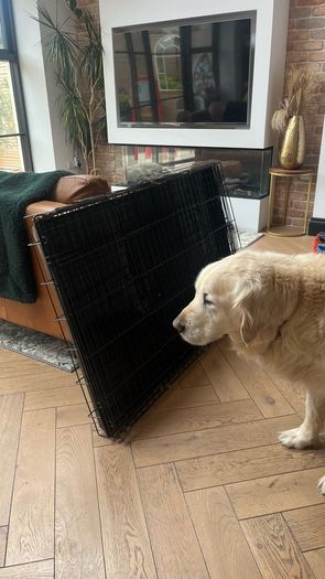 Large Dog Cage
