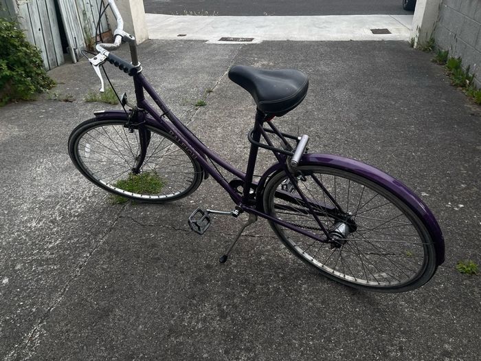 raleigh bike vintage
