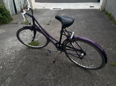 raleigh bike vintage