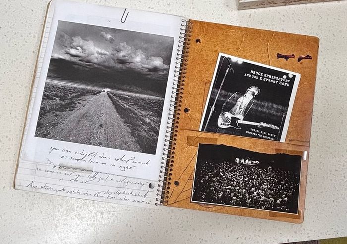Bruce Springsteen for Collectors