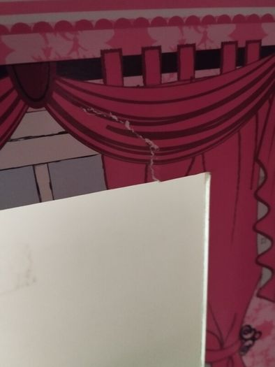Large Doll House