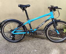 Frog 55 Kids bike