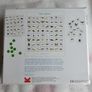 Bug Bingo Board Game Image 2