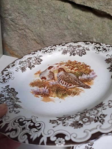 2 Burleigh ducks and fowl plates