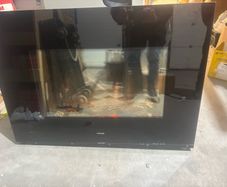 Dimplex electric fire