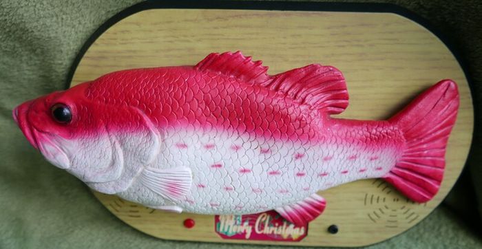 Rock King Tommy the xmas singing fish