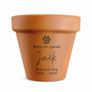 Personalised Pet Memorial Terracotta Plant Pot Image 4