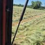Square bales of hay Image 5