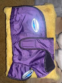 New Weather Beeta Dog Coat