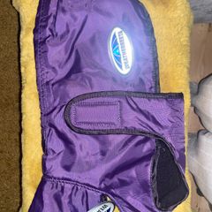 New Weather Beeta Dog Coat