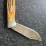 EVintage 1965 CASE XX 5172 Bulldog Stag Folding Pocket Knife USAnter a catchy title Image 3
