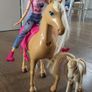 Barbie doll & 2 horses Image 5