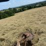 Haylage Image 6