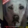 Roy Keane Book & Dvd Bundle Collection Triggs Red Mist Biography Etc. Image 3