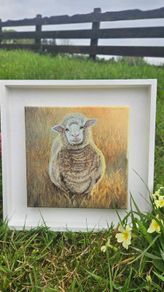 Original Oil Painting  - Sunset  Golden Lamb