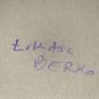 Lukasz Berko Original Painting with Authenticity Certificate Image 3