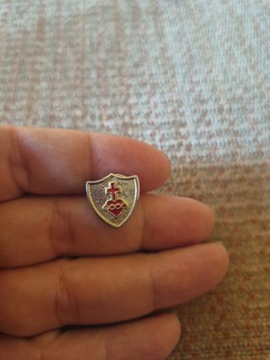 Vintage Pioneer Badge Pin