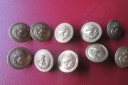 Naval Buttons Military