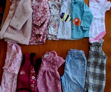 Baby girls clothes bundle 9-12mths