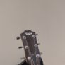 Taylor 114e Image 2