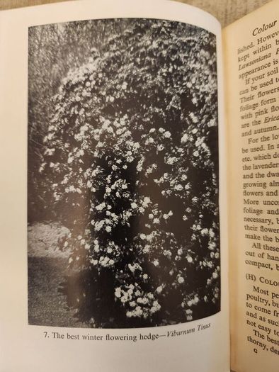 Colour Hedges. By J.l. Beddal.n.d.h. Published By The Gardening  Book Club London. First Editions  1953. Hardback In Good Condition. 36.