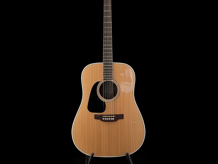 Takamine GD51 Left Handed