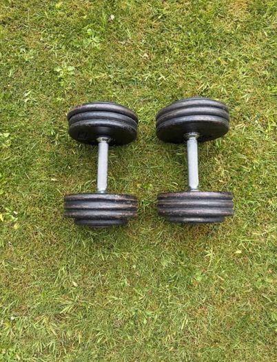 17.5kg Dumbbells x2
