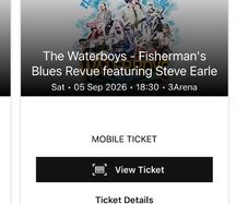 The Waterboys