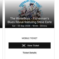 The Waterboys