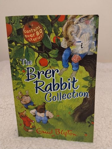 Enid Blyton Classic Story Books Collection