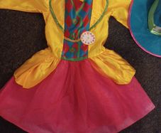 Disney  Costume