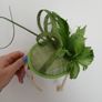 New Fascinator Hat Image 2