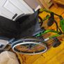 wheelchair OttoBock Avantgarde CS Image 7