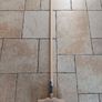 Burgon & Ball Patio Brush Image 2