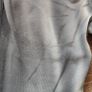 Grey/White Scrunch Butt Tummy Control Fitness Leggings  size 10 Image 4