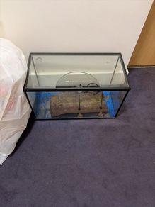 free fish tank