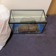 free fish tank