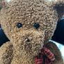 vintage teddy bear Image 3