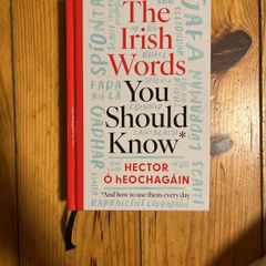 The Irish Words You Should Know