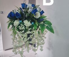 hanging basket blue