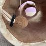 Cat tunnel Image 4