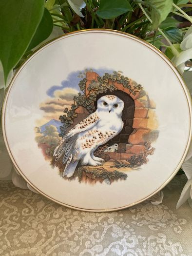 Vintage Coalport  pot pads