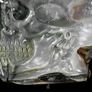 Hand Carved Mother of Pearl Shell - Human Skull Image 10