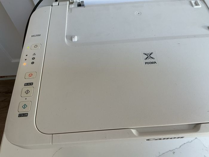 Canon Pixma MG2550 Printer/Scanner - No ink