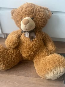 big teddy bear